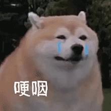 DƬ